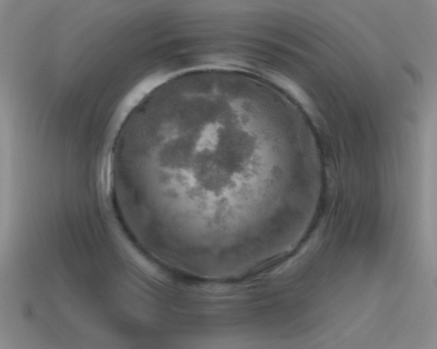 X0000115491371200911061258