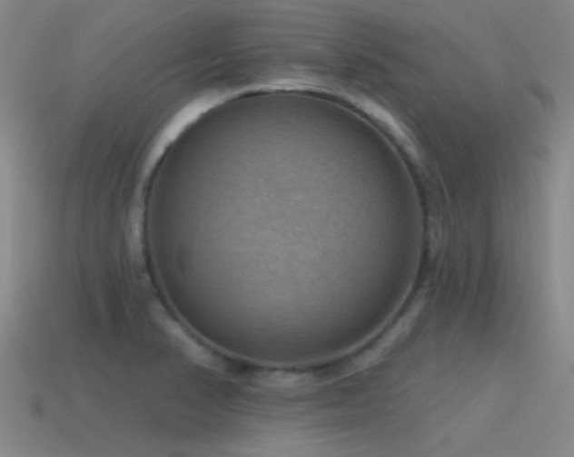 X0000115491374200911061258