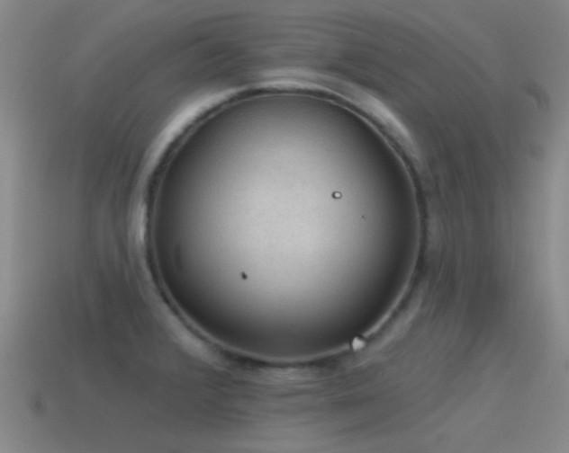 X0000115491376200911061258