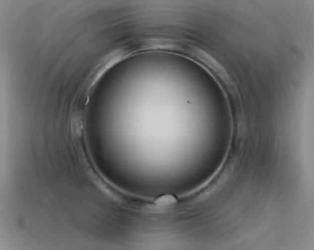 X0000115491377200911061258
