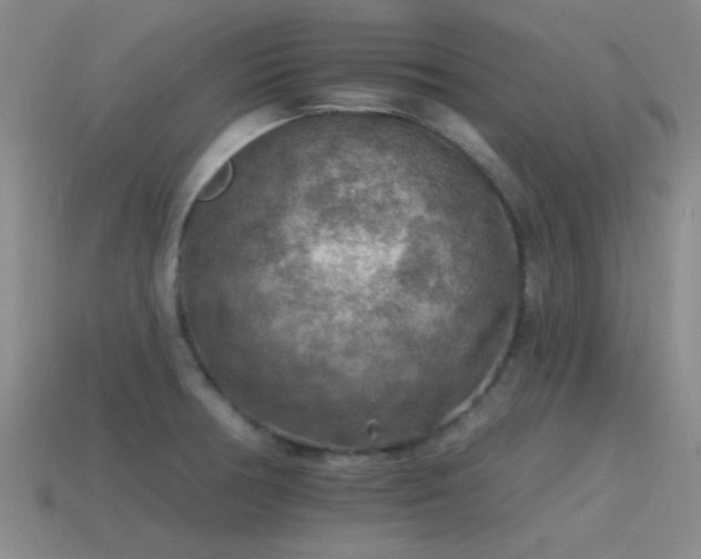 X0000115491378200911061258
