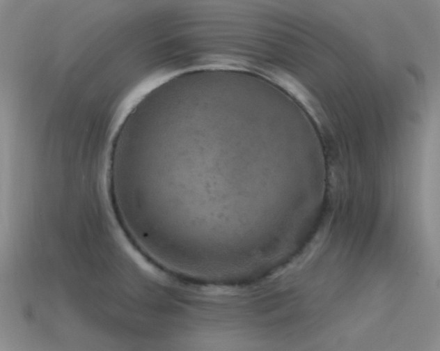 X0000115491379200911061258