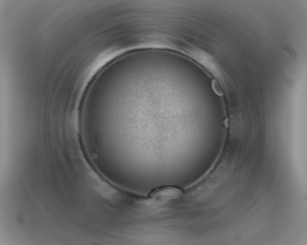 X0000115491380200911061258