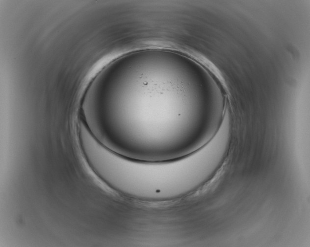 X0000115491381200911061258