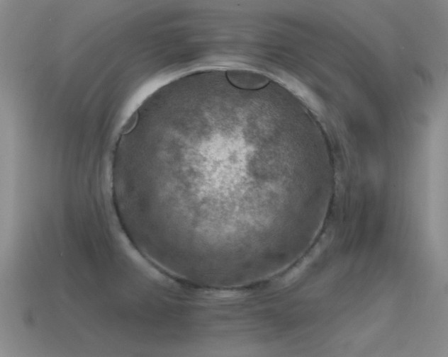 X0000115491382200911061258