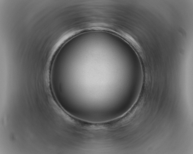 X0000115491384200911061258