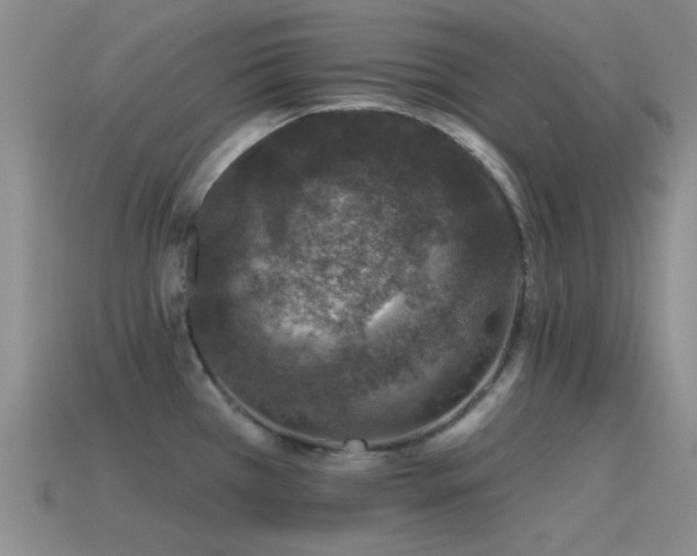 X0000115491385200911061258
