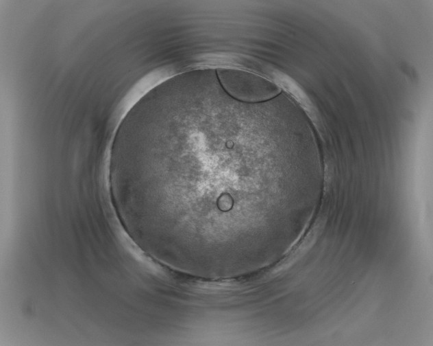X0000115491386200911061258