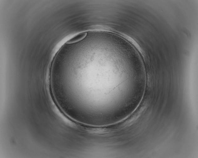 X0000115491387200911061258