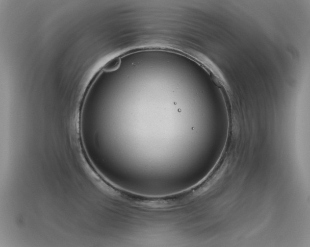 X0000115491388200911061258