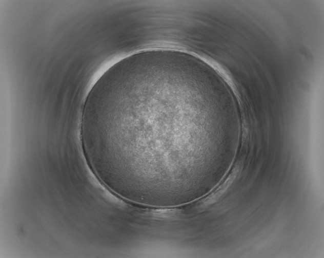 X0000115491390200911061258