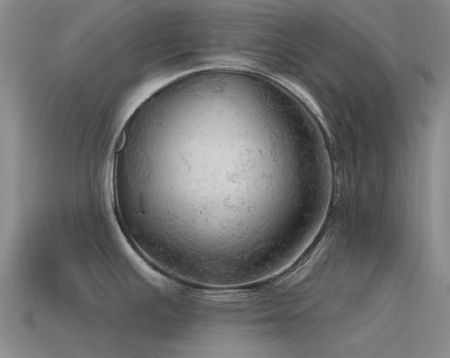 X0000115491391200911061258