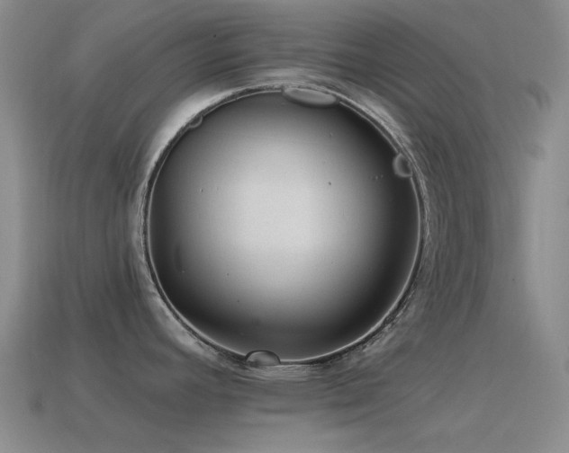 X0000115491392200911061258
