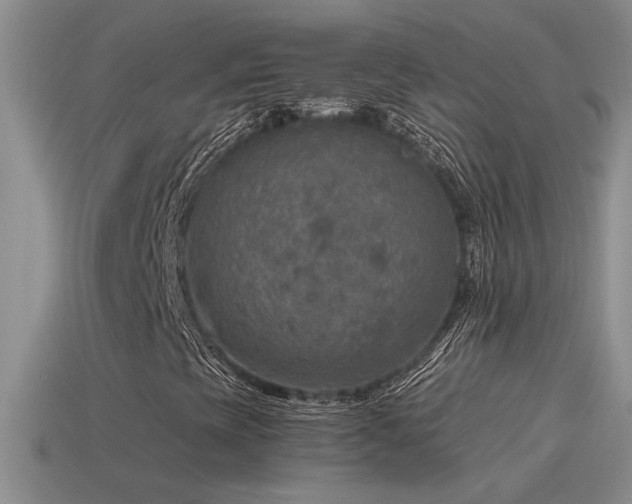 X0000115491393200911061257