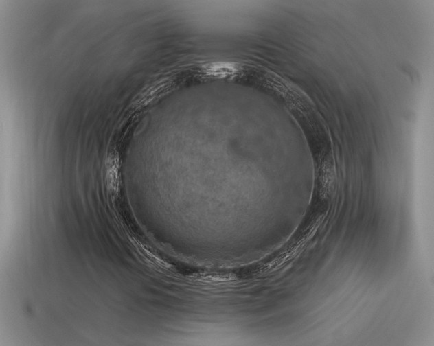 X0000115491394200911061257