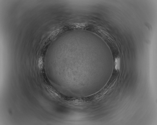 X0000115491395200911061257