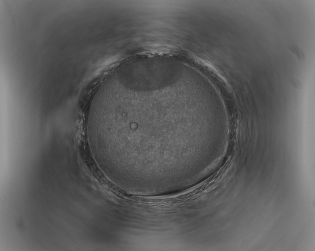 X0000115491399200911061257