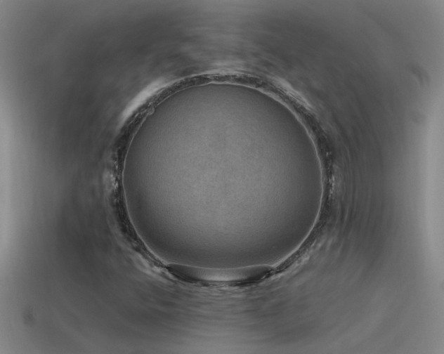 X0000115491400200911061257
