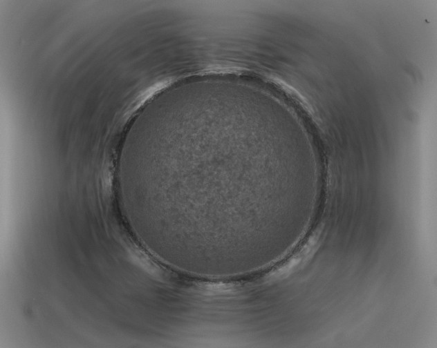 X0000115491401200911061257