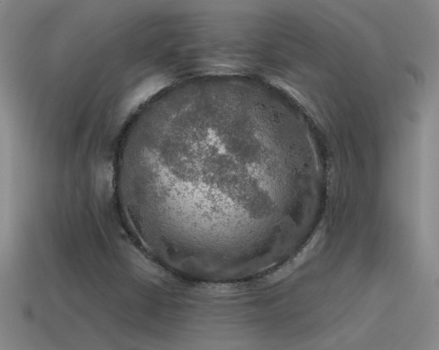X0000115491402200911061257