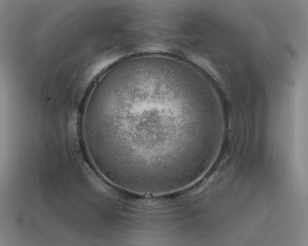 X0000115491404200911061257