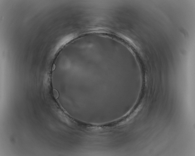 X0000115491405200911061257