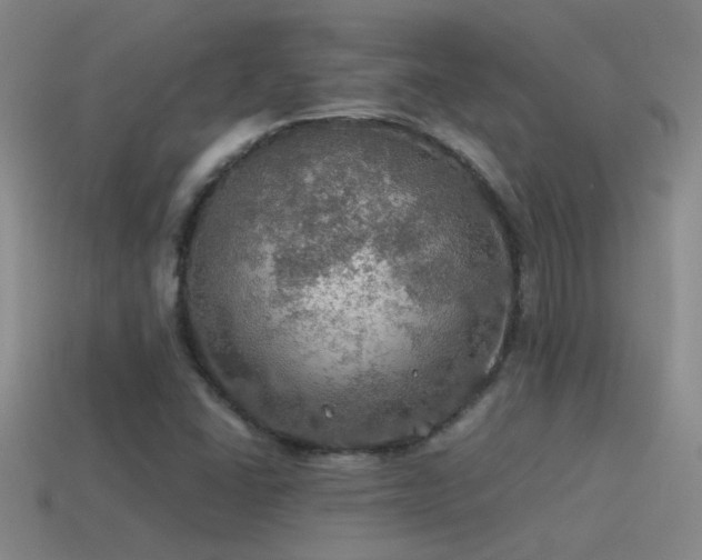 X0000115491406200911061257