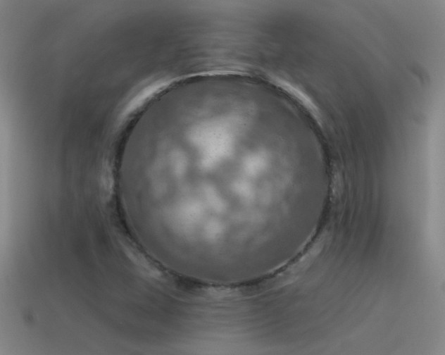 X0000115491407200911061257