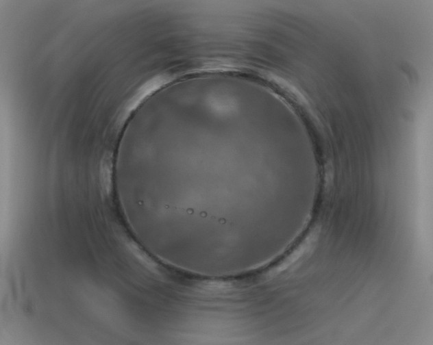 X0000115491409200911061257