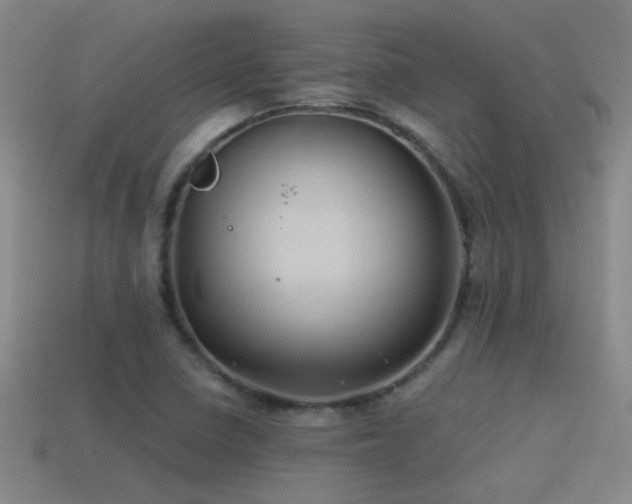 X0000115491410200911061257