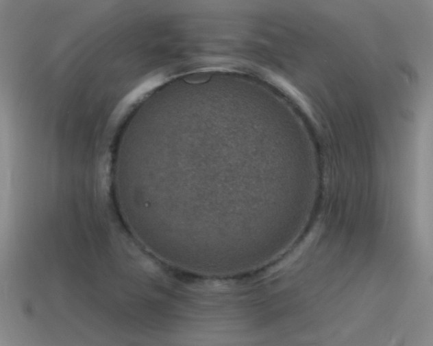 X0000115491411200911061257