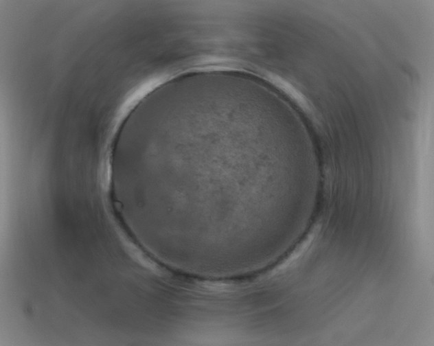 X0000115491413200911061257