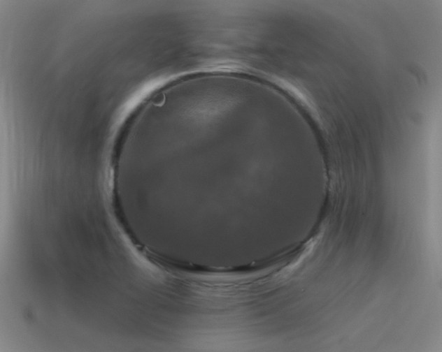 X0000115491414200911061257
