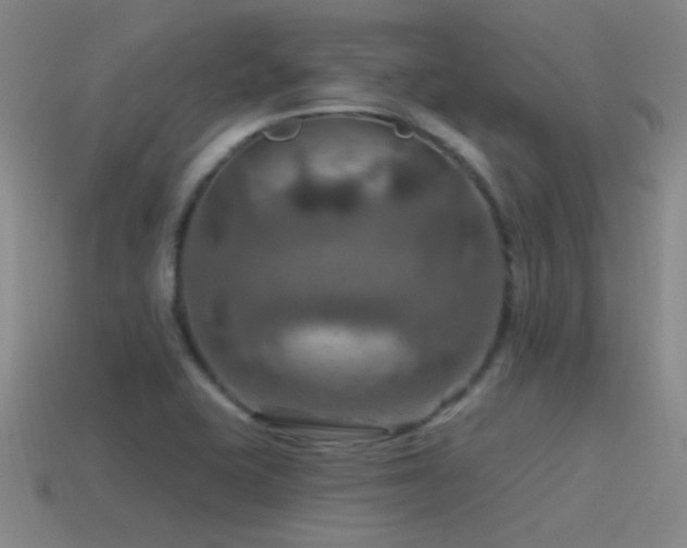 X0000115491415200911061257