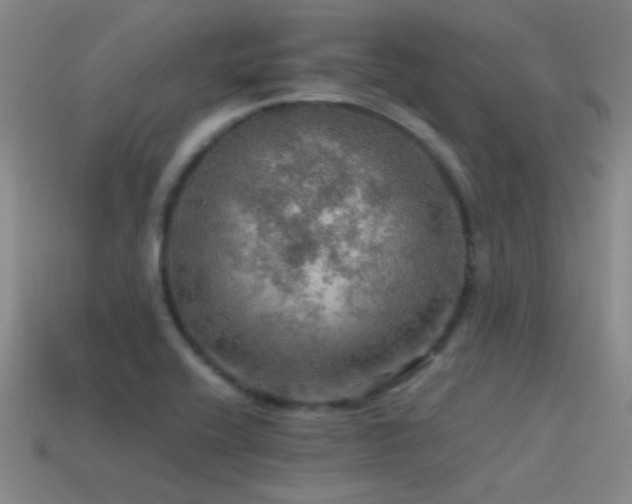 X0000115491416200911061257