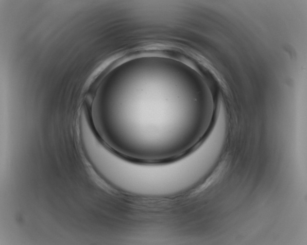 X0000115491417200911061257