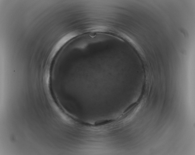 X0000115491418200911061257