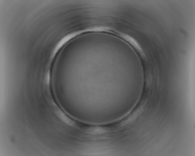 X0000115491420200911061257