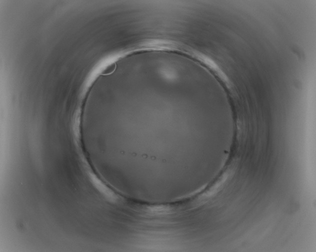 X0000115491421200911061257