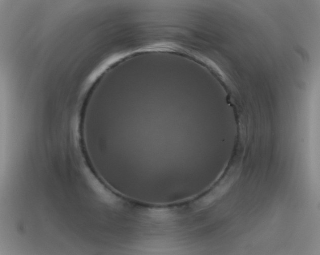 X0000115491422200911061258