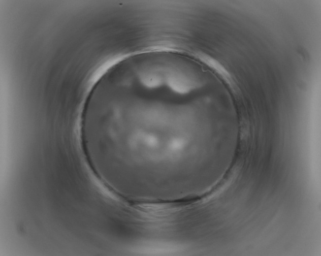 X0000115491423200911061258
