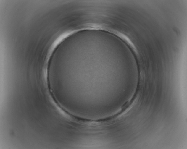 X0000115491424200911061258