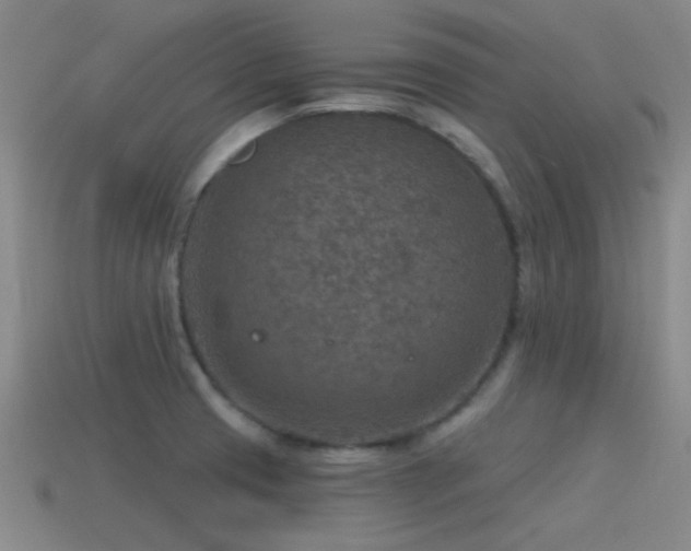 X0000115491425200911061258