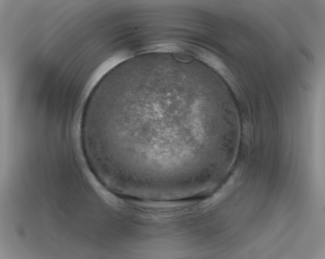 X0000115491426200911061258