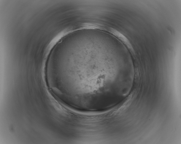 X0000115491427200911061258