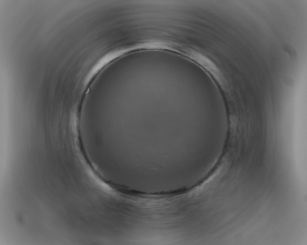 X0000115491428200911061258