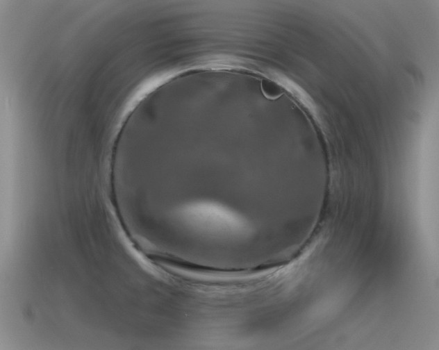 X0000115491429200911061258
