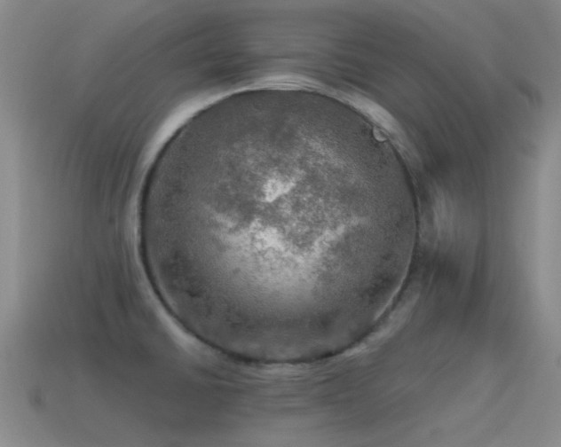 X0000115491430200911061258