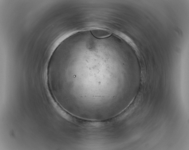 X0000115491431200911061258