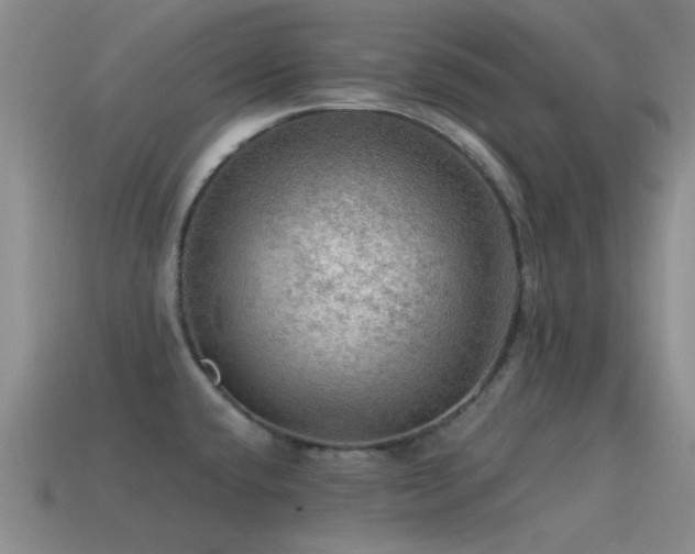 X0000115491432200911061258